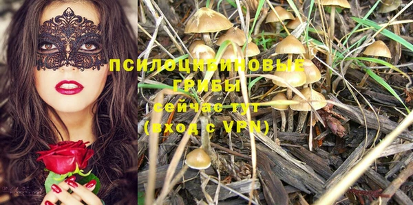 ГАЛЛЮЦИНОГЕННЫЕ ГРИБЫ Лиски