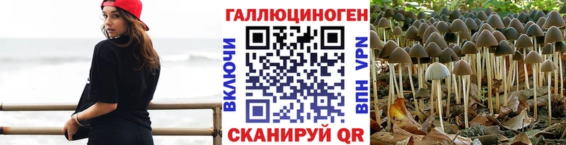 даркнет сайт Элиста kraken рабочий сайт Галлюциногенные грибы Psilocybine cubensis