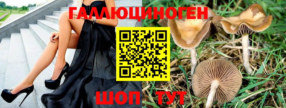 Элиста  Галлюциногенные грибы GOLDEN TEACHER  Псилоцибиновые грибы Psilocybe  Вход с VPN 