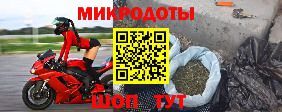 Псилоцибиновые грибы Psilocybine cubensis Элиста