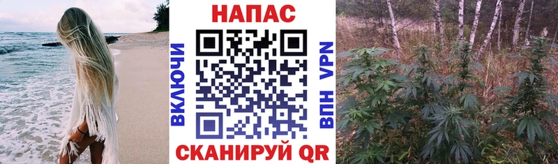 Каннабис OG Kush  Элиста 